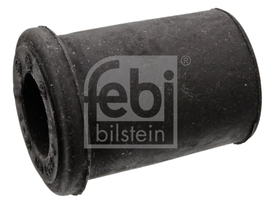 Bushing, leaf spring